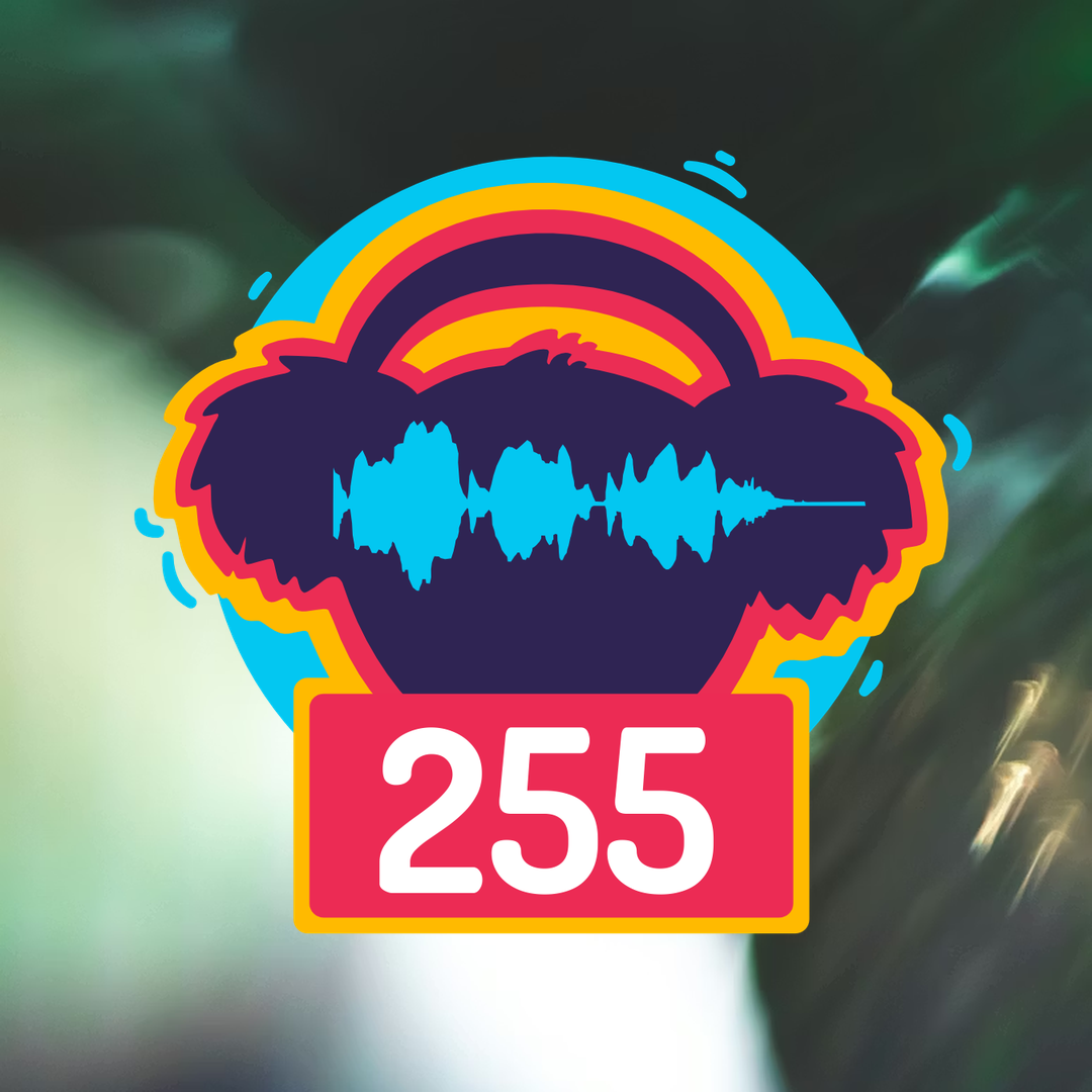Episode 255