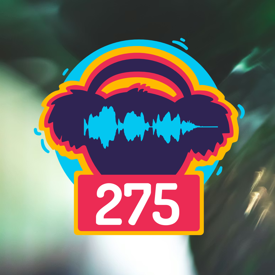 Episode 275